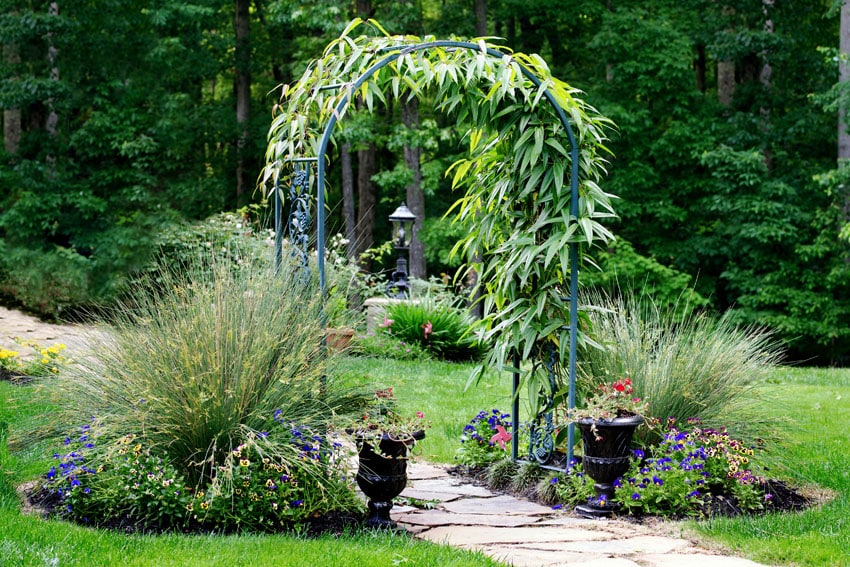 Metal arbor with climbing vines