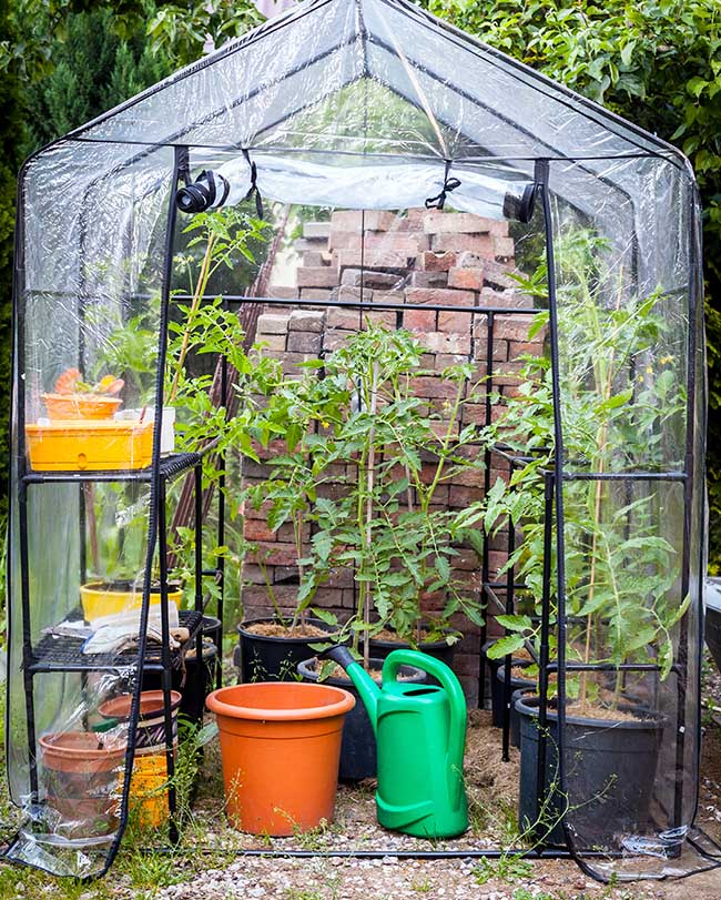 Plastic sheeting cover for greenhouse 