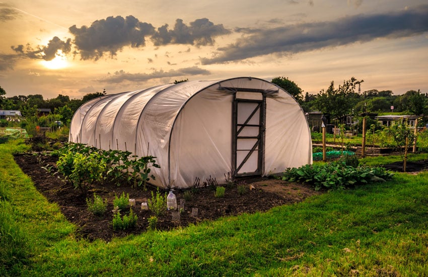 Polyethythene material for greenhouse