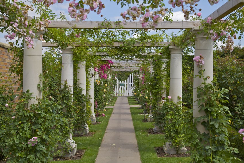 Pretty path in garden with arbors