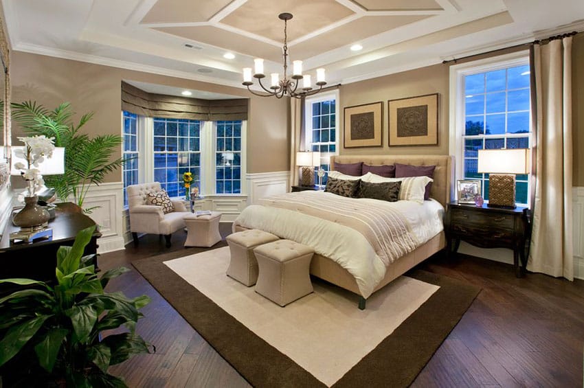 Transitional bedroom design with wainscoting picture windows and contemporary bed frame