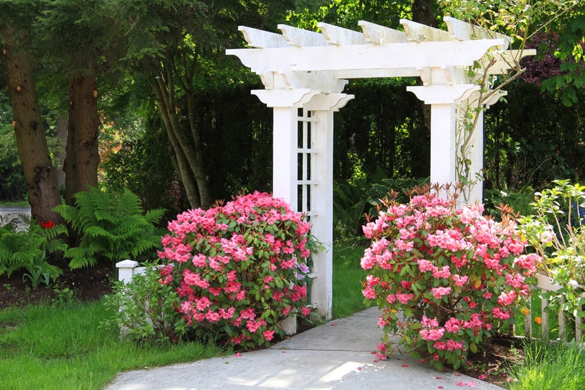 White garden pergola arbor