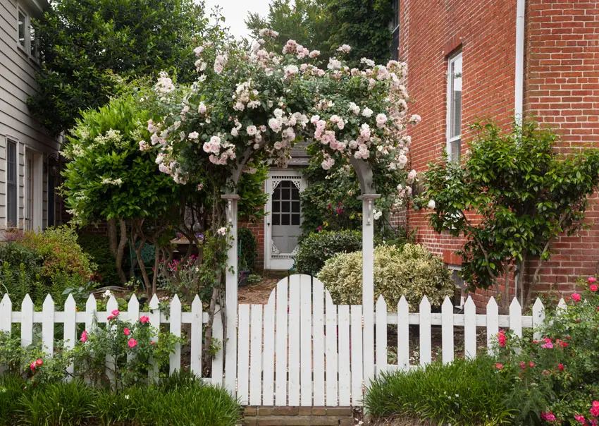 White picket fence with arbor and roses