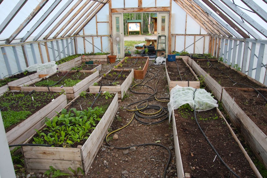 Wood planters inside greenhouse