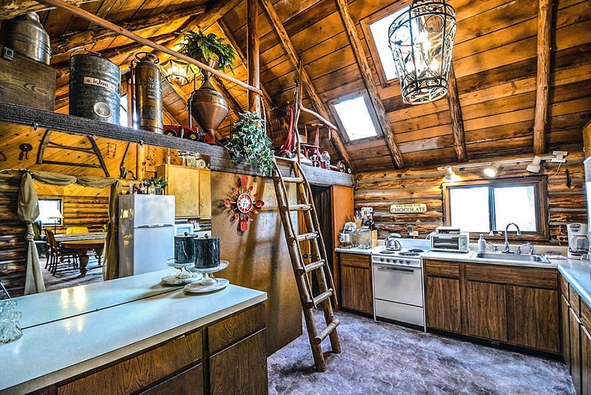 Rustic plank cabin kitchen with ladder to loft