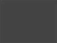 Deep onyx paint color