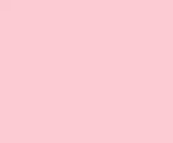 Millennial pink paint