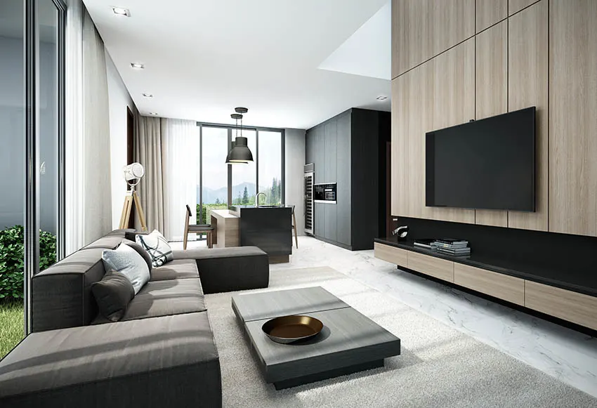 Modern masculine room with wood veneer dark sofa