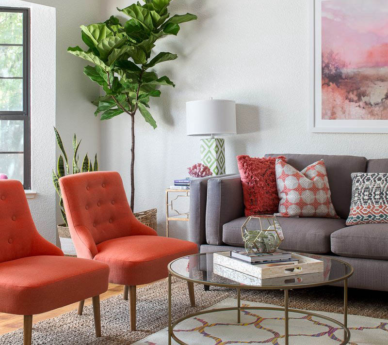 Faux indoor fiddle leaf tree in pot, salmon colored chairs and coffee table