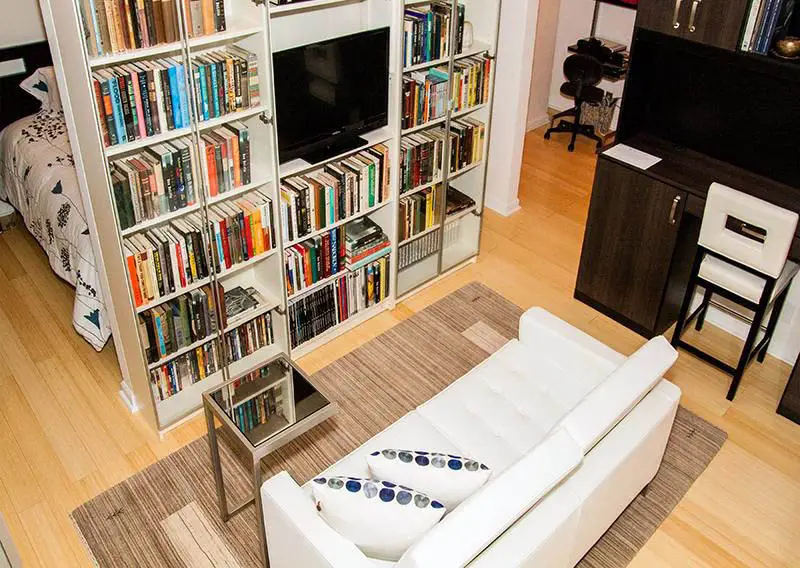 Studio living room with bookshelf divider between bedroom
