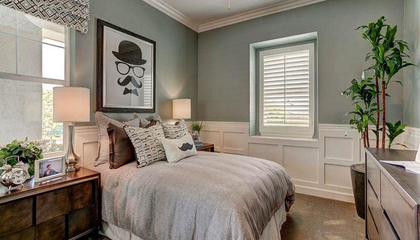 Bedroom with white wainscoting potted plant and green paint