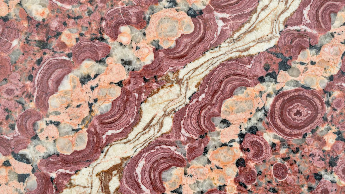 Burgundy and peach concentric swirls set against cream with dark speckles