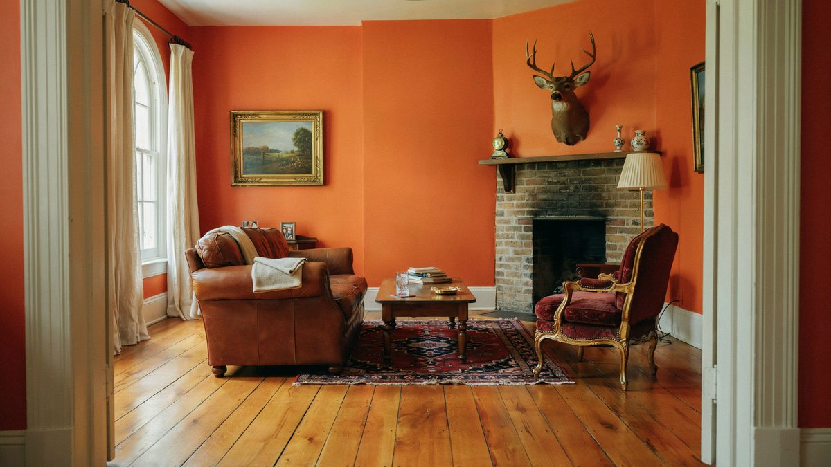 Room with deer head wall decor, fireplace and couches