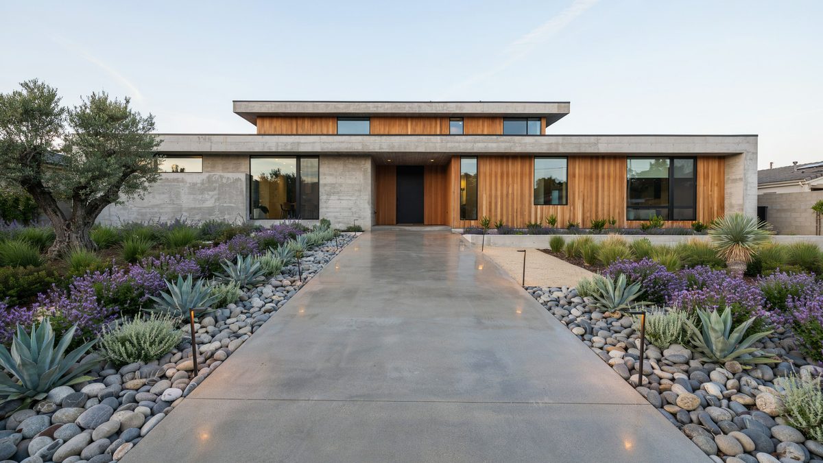 Concrete drive edged with river rock and silver succulents at a low modern home