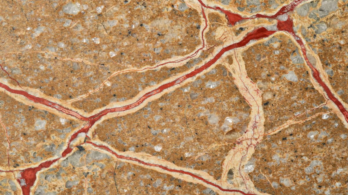 Rust brown surface laced with red and cream veins branching like tree limbs