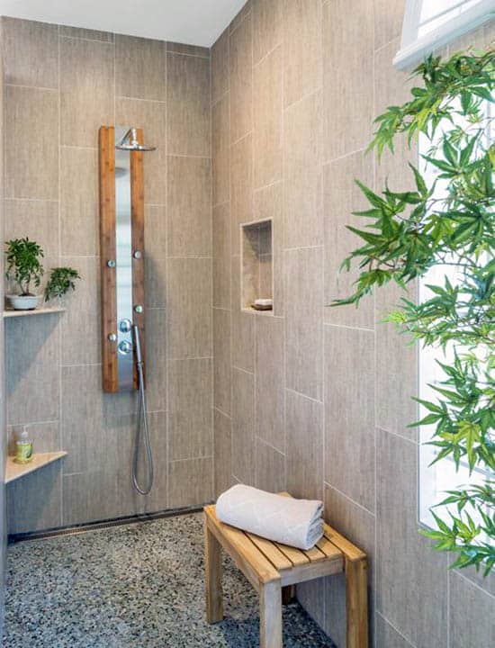 Bathroom spa shower with indoor plants