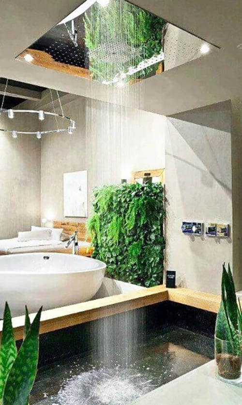 Bathroom with large rain drop shower and large soaking tub