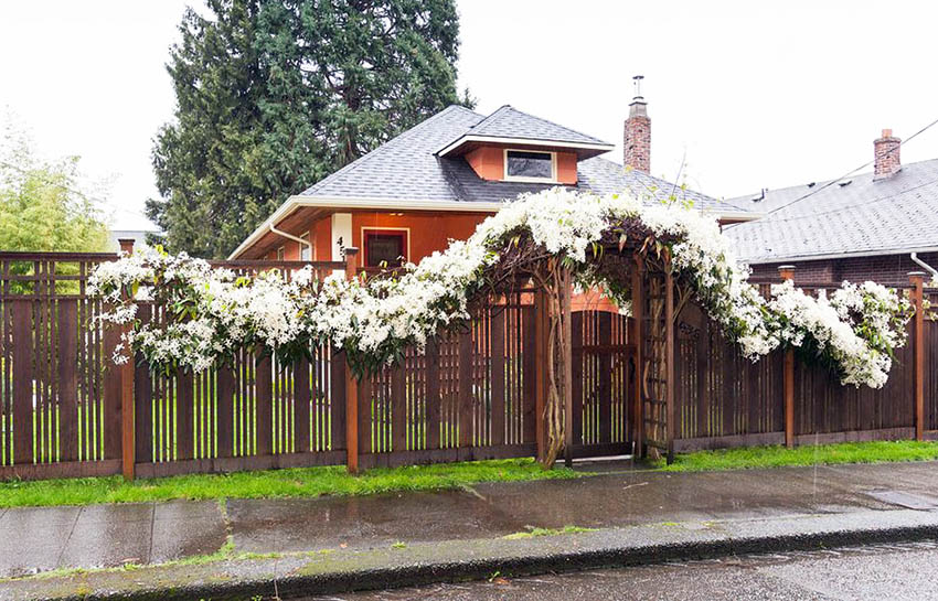 Privacy fence with gate and flower arbor