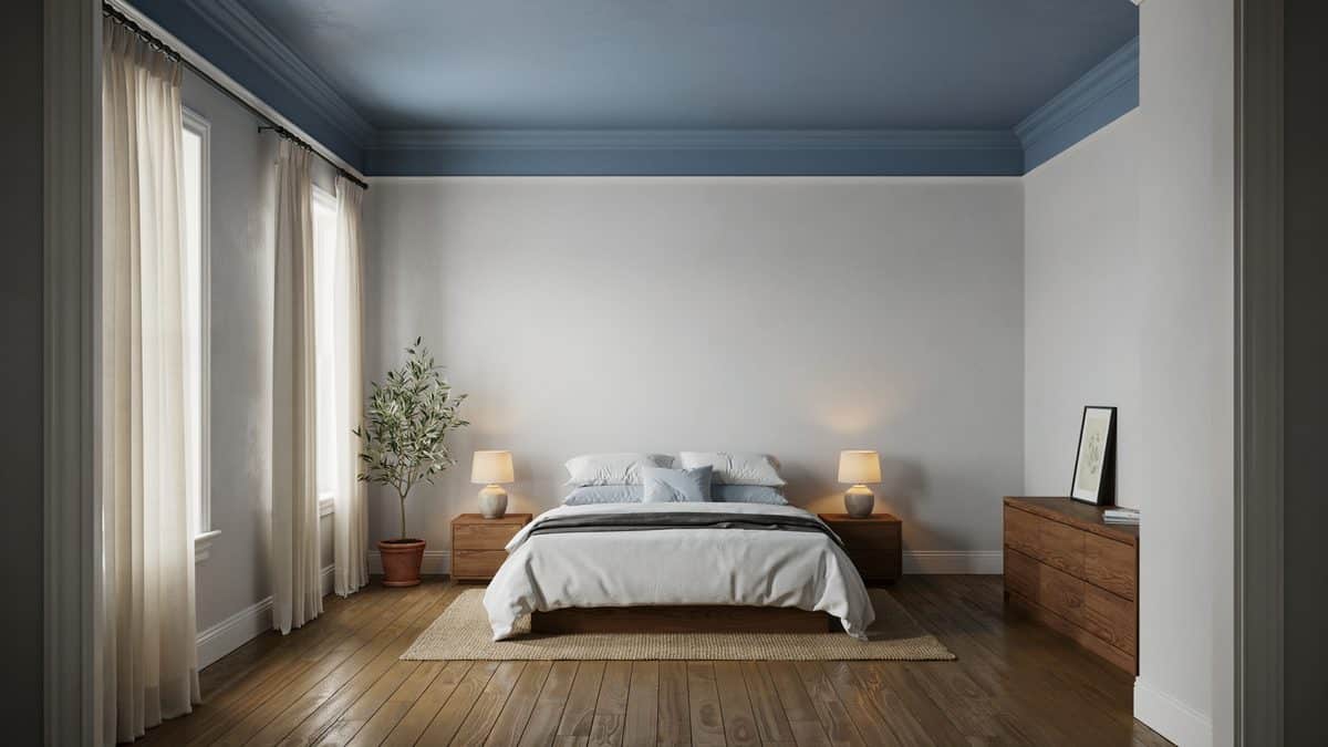 Gray walls with a blue tray ceiling, white molding and dark wood floors