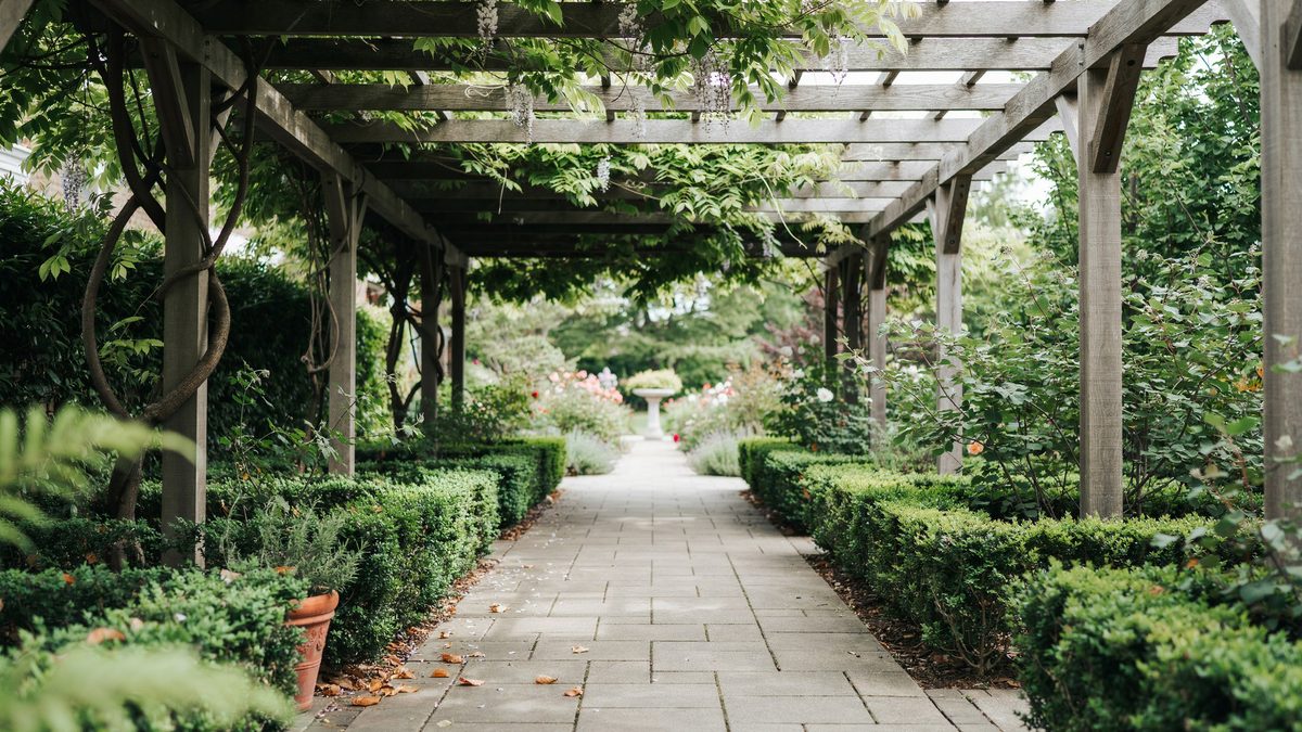 Paving block walkway running beneath a vine covered garden pergola