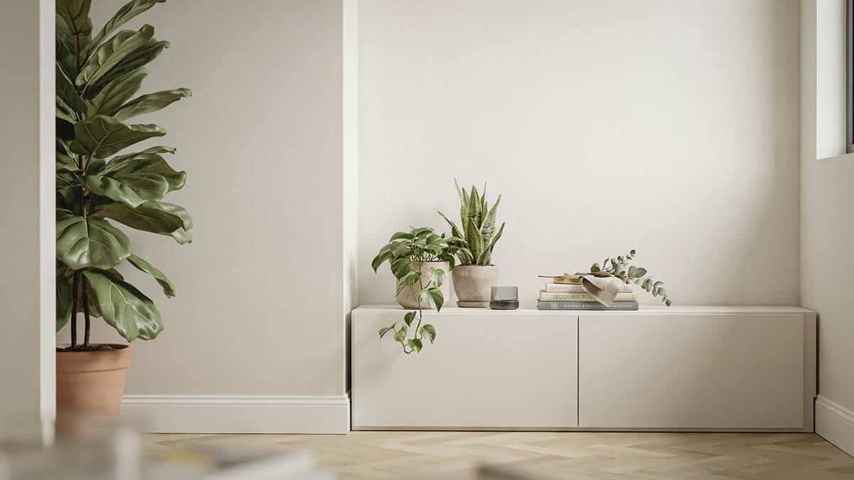 Tall potted plant beside a white cabinet in a bright living room corner
