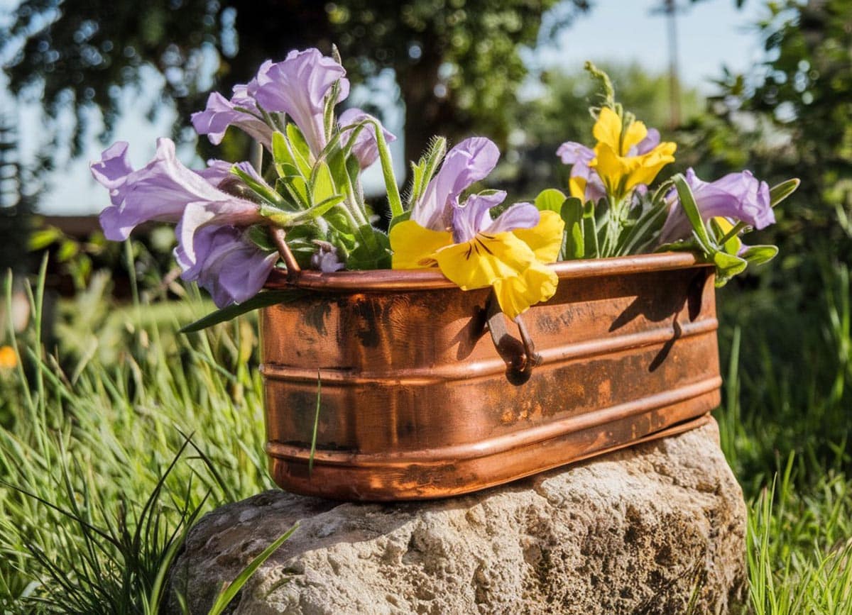 Old fashioned copper planter with purple and yellow flowers
