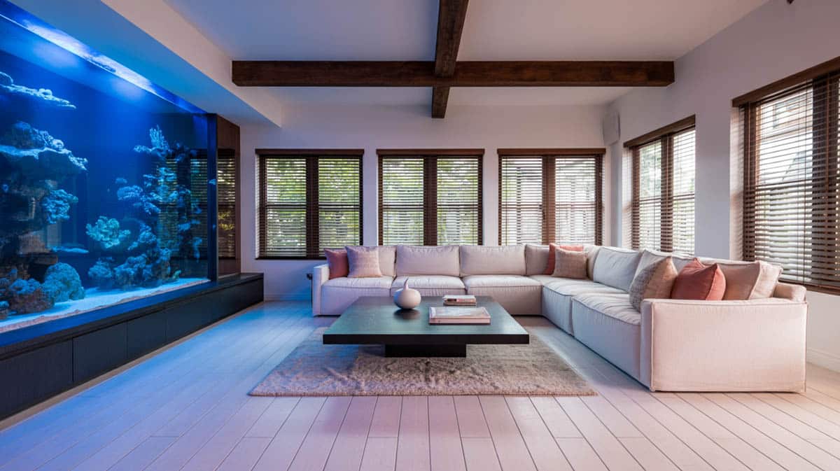 The large floor to ceiling-height seawater aquarium already brings the