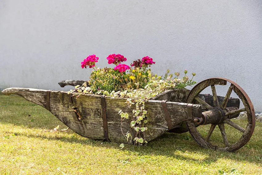 Antique wheelbarrow garden planter box
