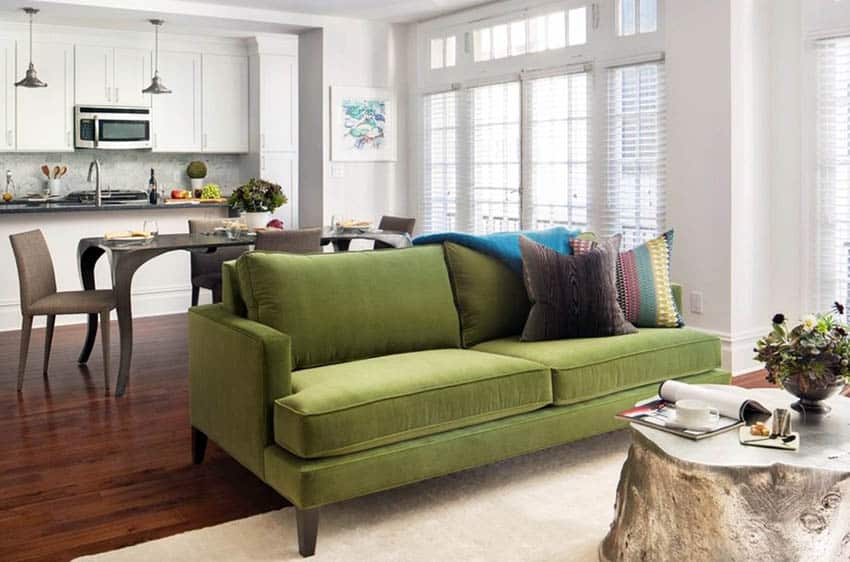 Contemporary living room sofa