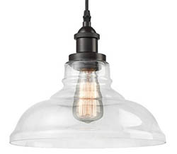 Edison style glass pendant light 