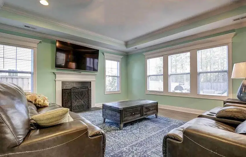 Craftsman style room with seafoam green paint and leather furniture