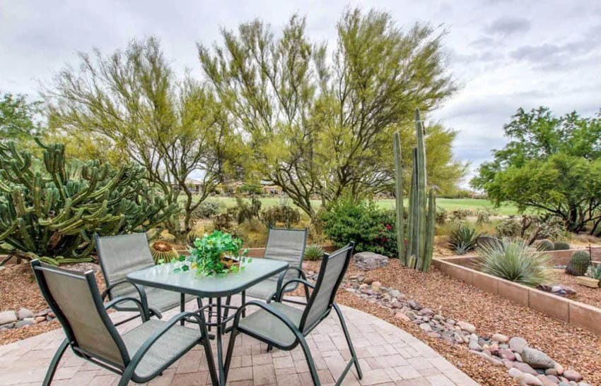 Backyard paver patio with desert trees and cacti