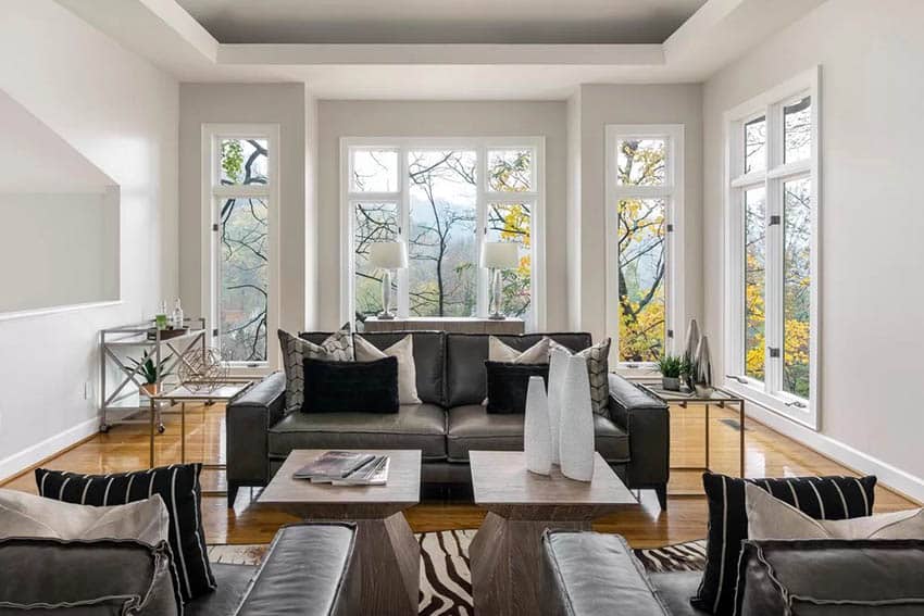 Contemporary living room with tray ceiling