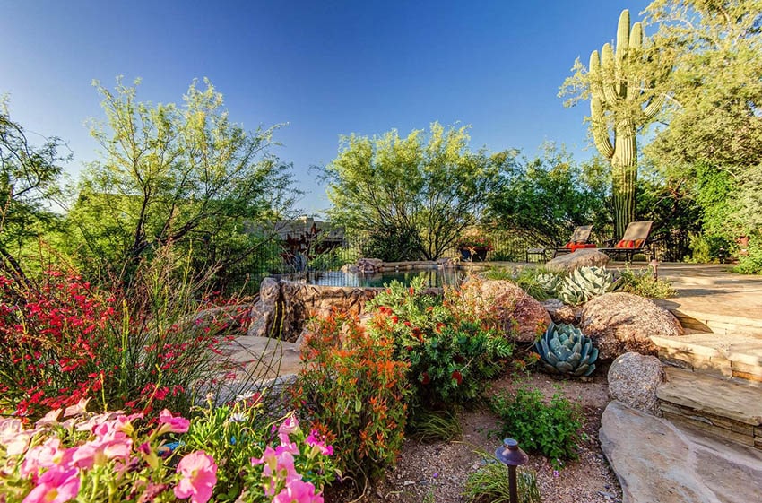 Desert arid landscape backyard with plants