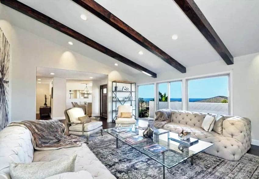 Living room with shed ceiling