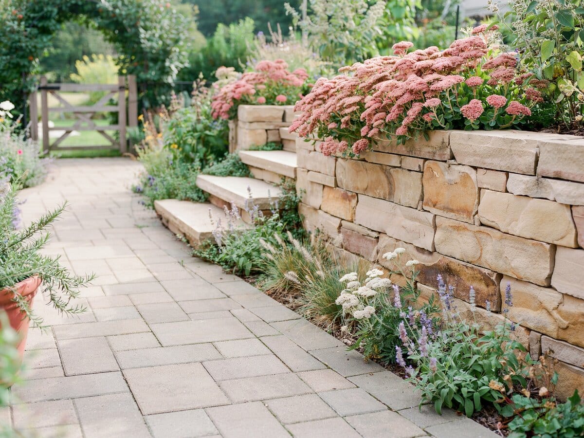 Concrete brick paver walkway beside a golden stacked stone retaining wall with pink sedum in bloom