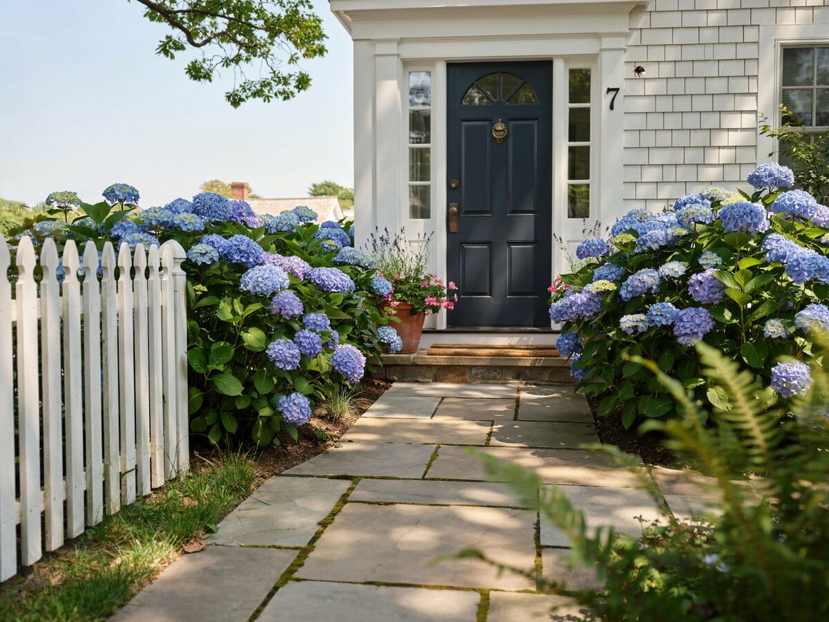 Natural flagstone path leading to a white cottage front door with blue hydrangeas in bloom