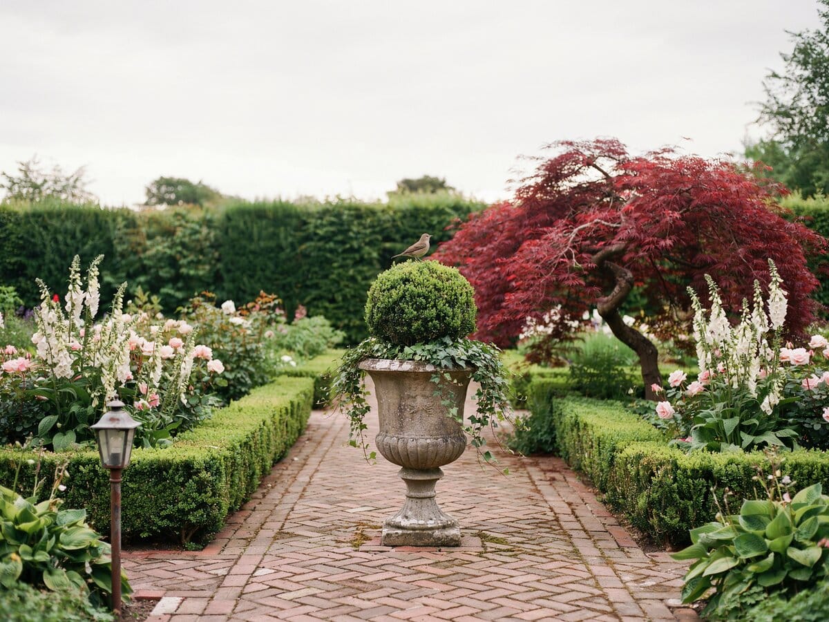 Herringbone brick path through a formal garden with stone urn planter and Japanese maple tree