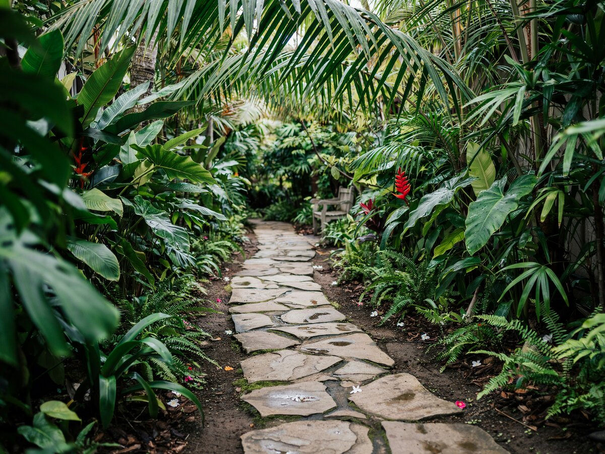 Irregular flagstone stepping stones through a narrow tropical garden path with lush palm fronds