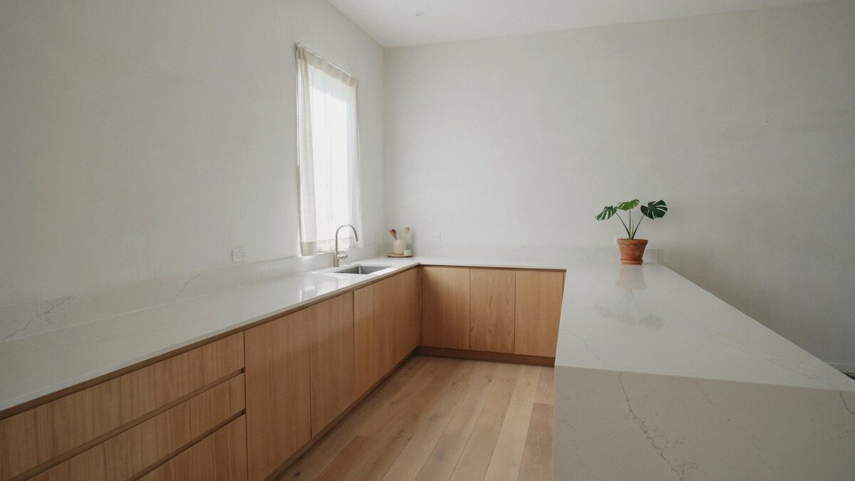 Single potted plant on the counter of a j shaped modern kitchen