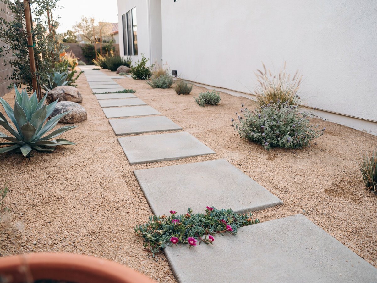 Modern square concrete pavers set in gravel beside a xeriscaped front yard with drought tolerant plants