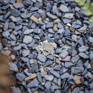 Flat blue gray and purple slate chip gravel used as mulch