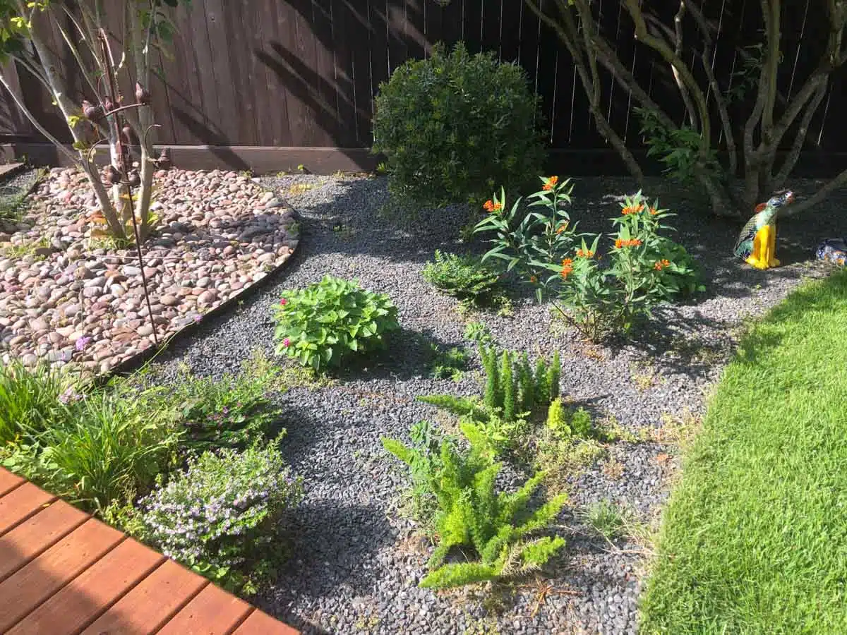 landscaped yard with plants gravel and grass