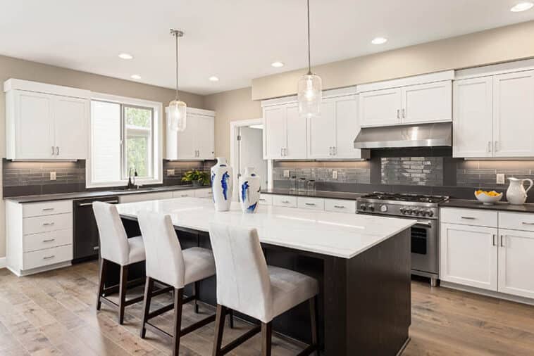 Shaker Cabinets vs Raised Panel (Pros & Cons)