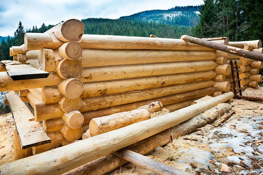 Logs for home construction