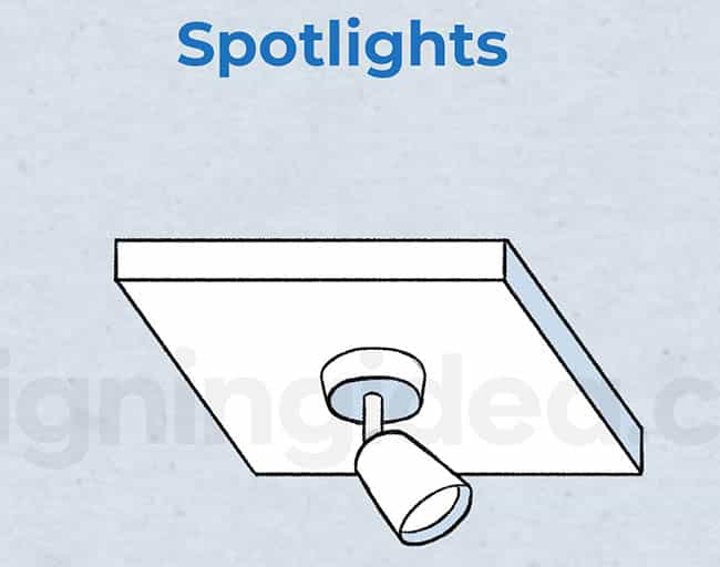 Multi-directional spotlights