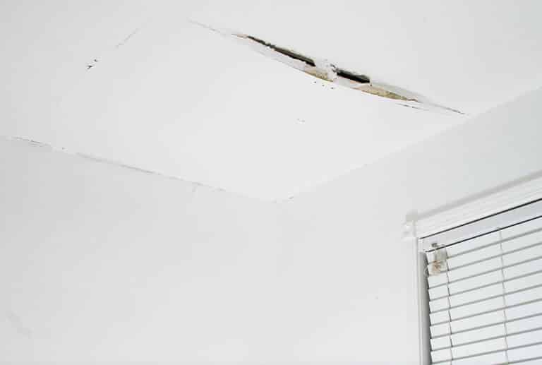 Types of Ceiling Cracks (Guide & What to Look For)