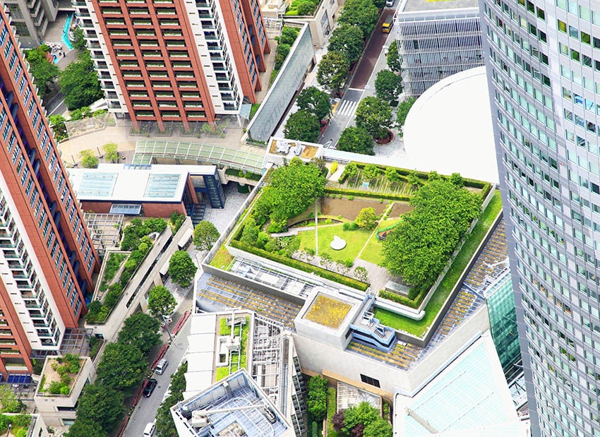 Intensive green roof
