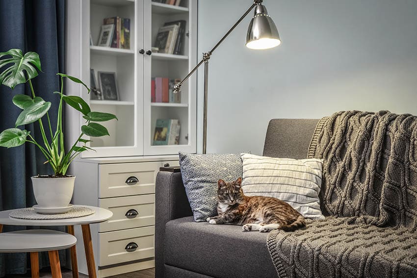 Living room with light blue paint grey couch white shelving cabinet