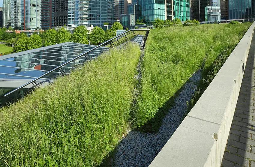 Semi intensive green roof 